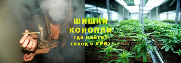 дживик Липки