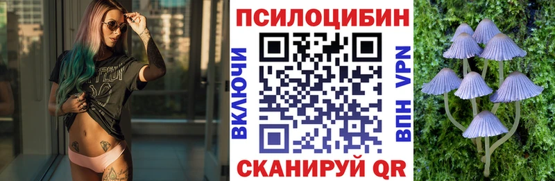 Галлюциногенные грибы MAGIC MUSHROOMS  Купить закладки  Корсаков 